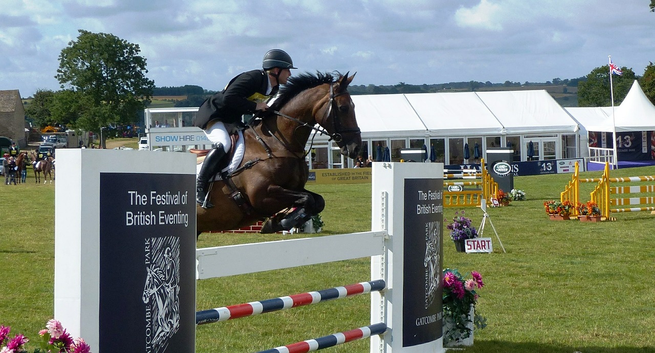 horse rider jumping free photo