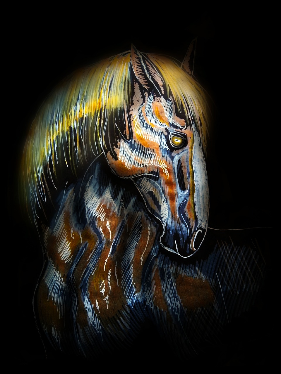 horse  stallion  cicindela free photo