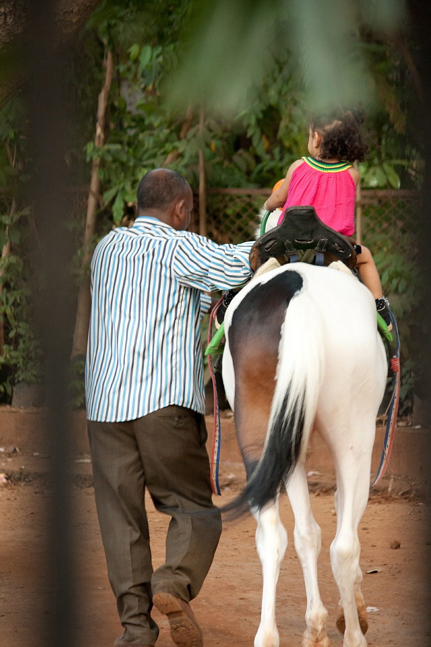 horse child riding free photo