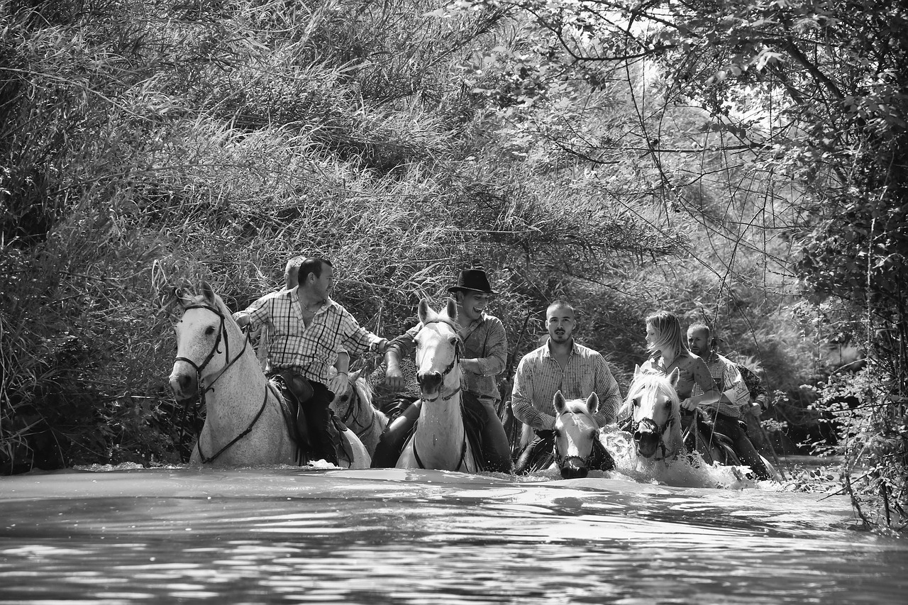 horse  water  jumper free photo