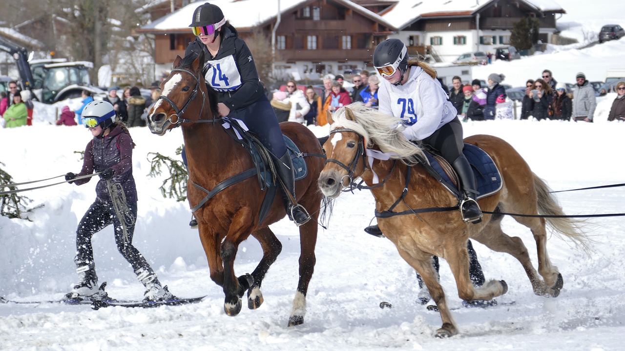 horse  winter  snow free photo