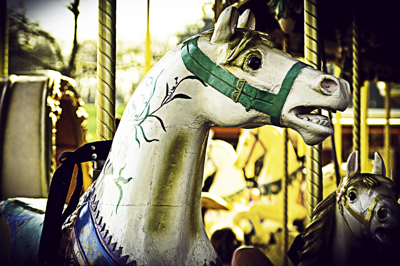 horse  carousel  fun free photo