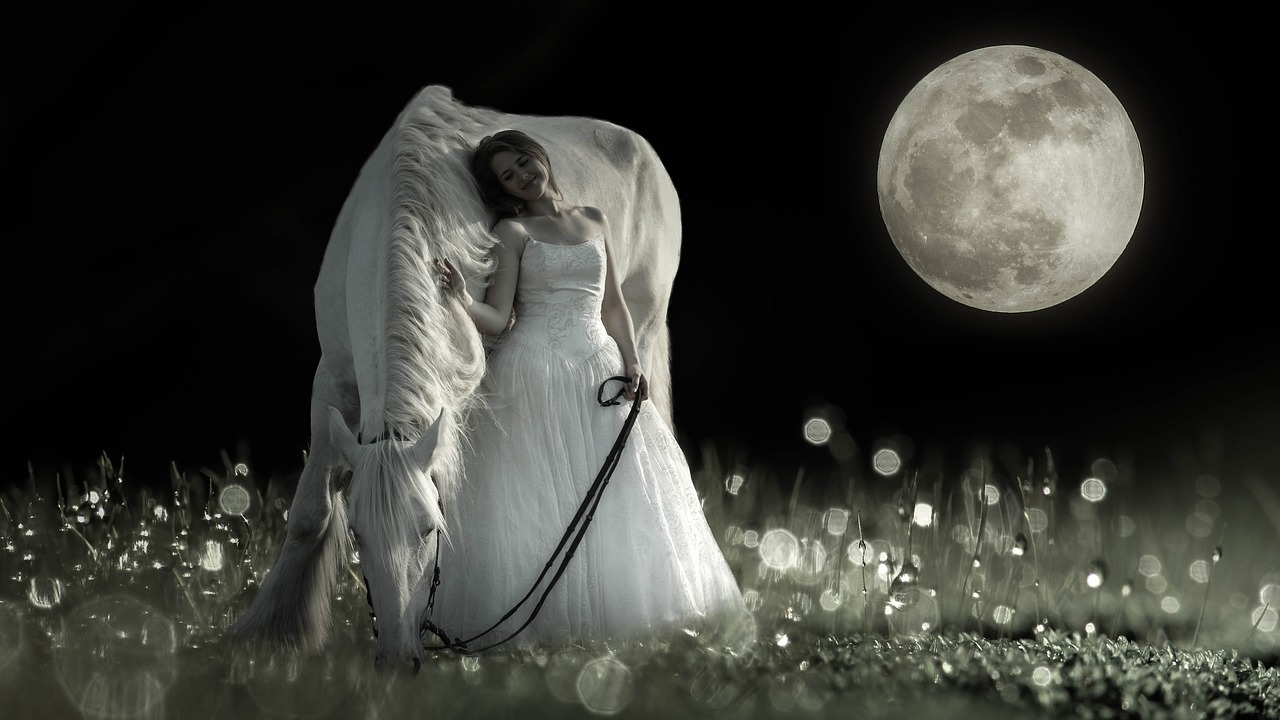 horse  girl  full moon free photo