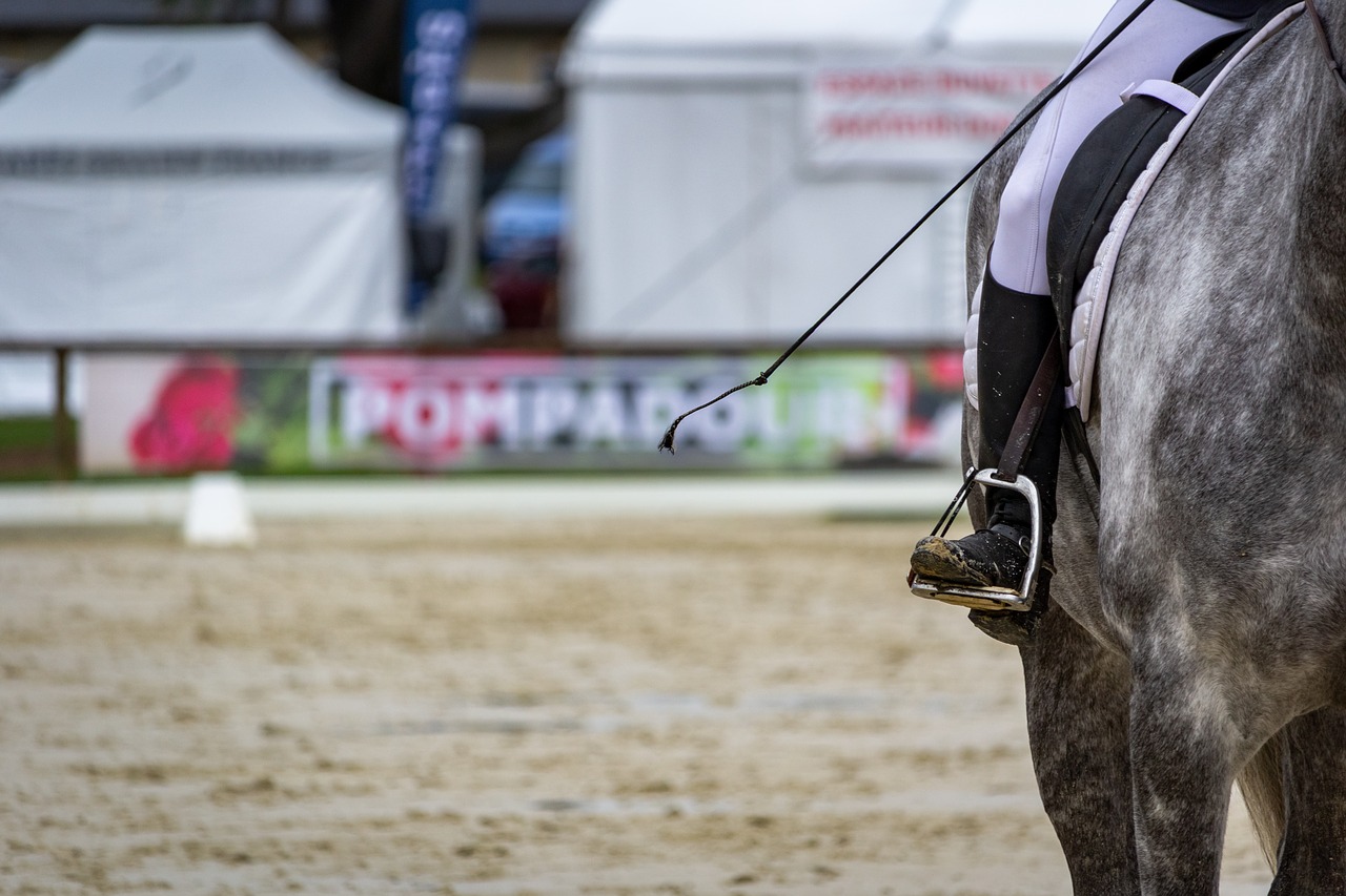 horse  horses  dressage free photo