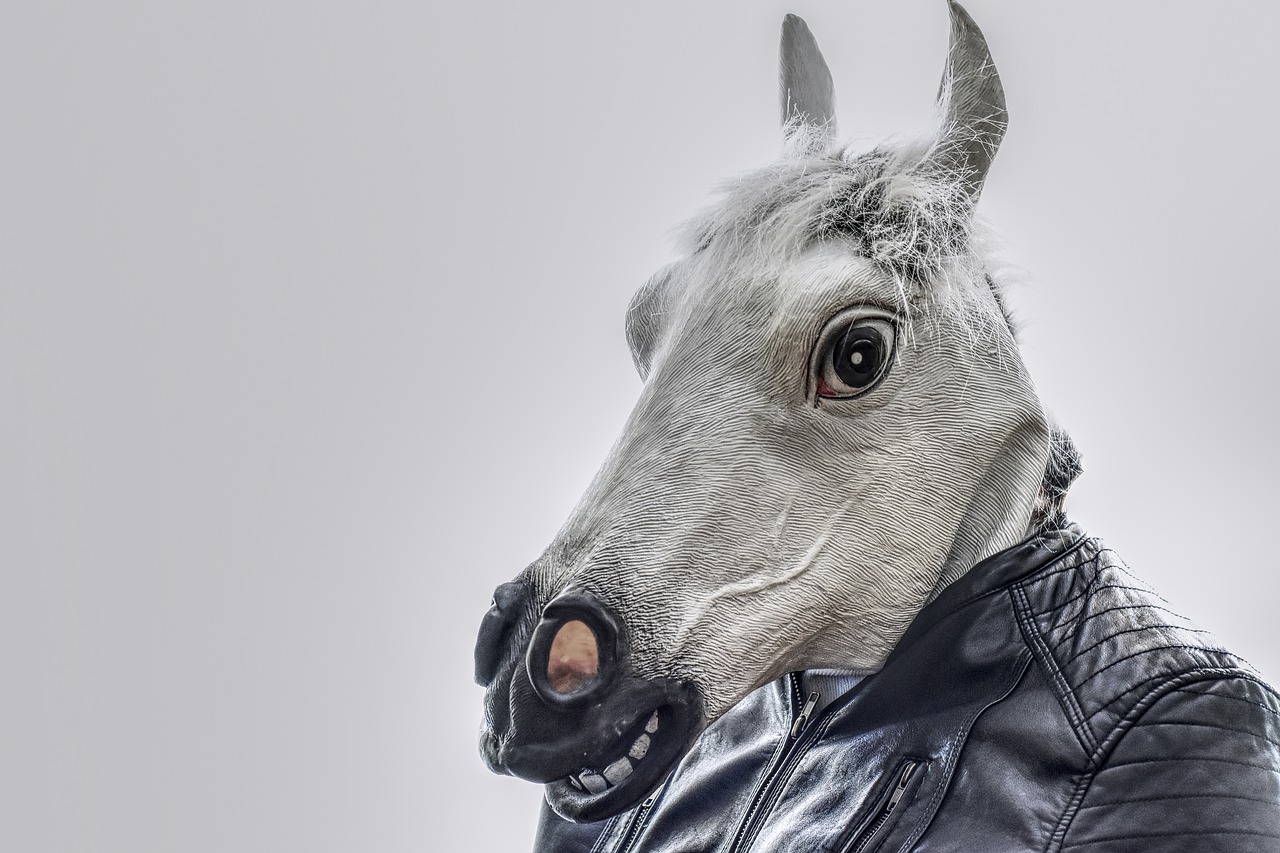 horse  leather jacket  mask free photo