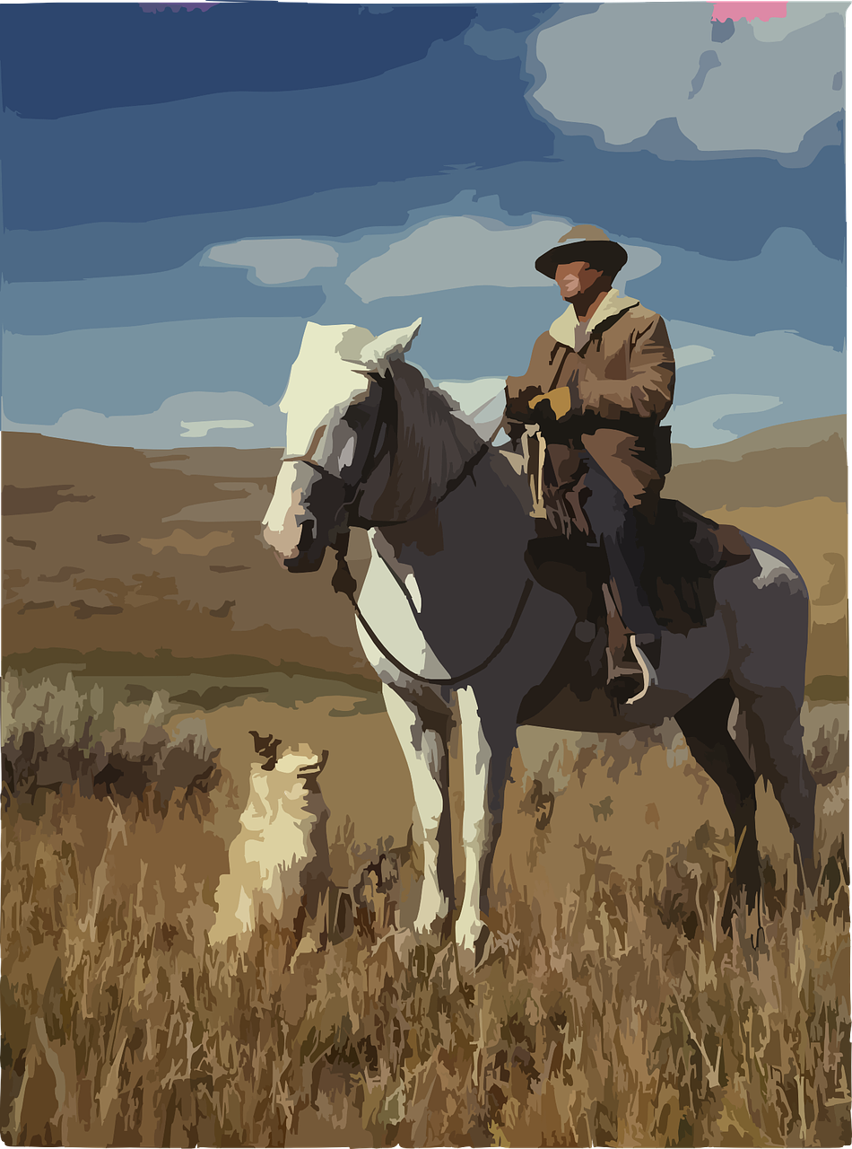 horse cowboy shepherd free photo