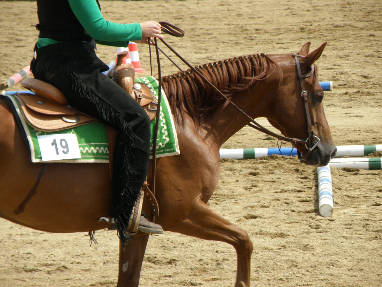 horse rider races free photo