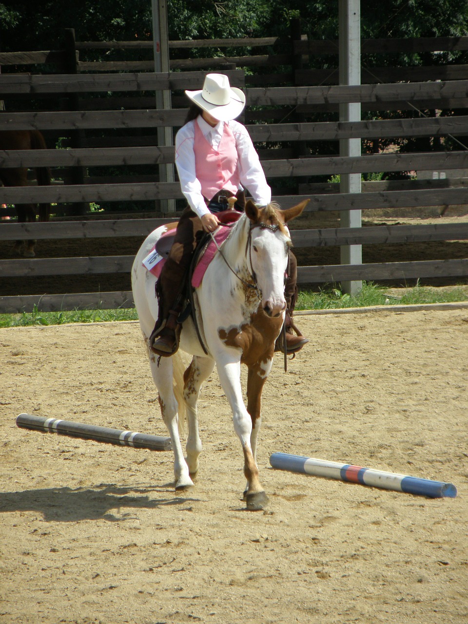 horse rider races free photo