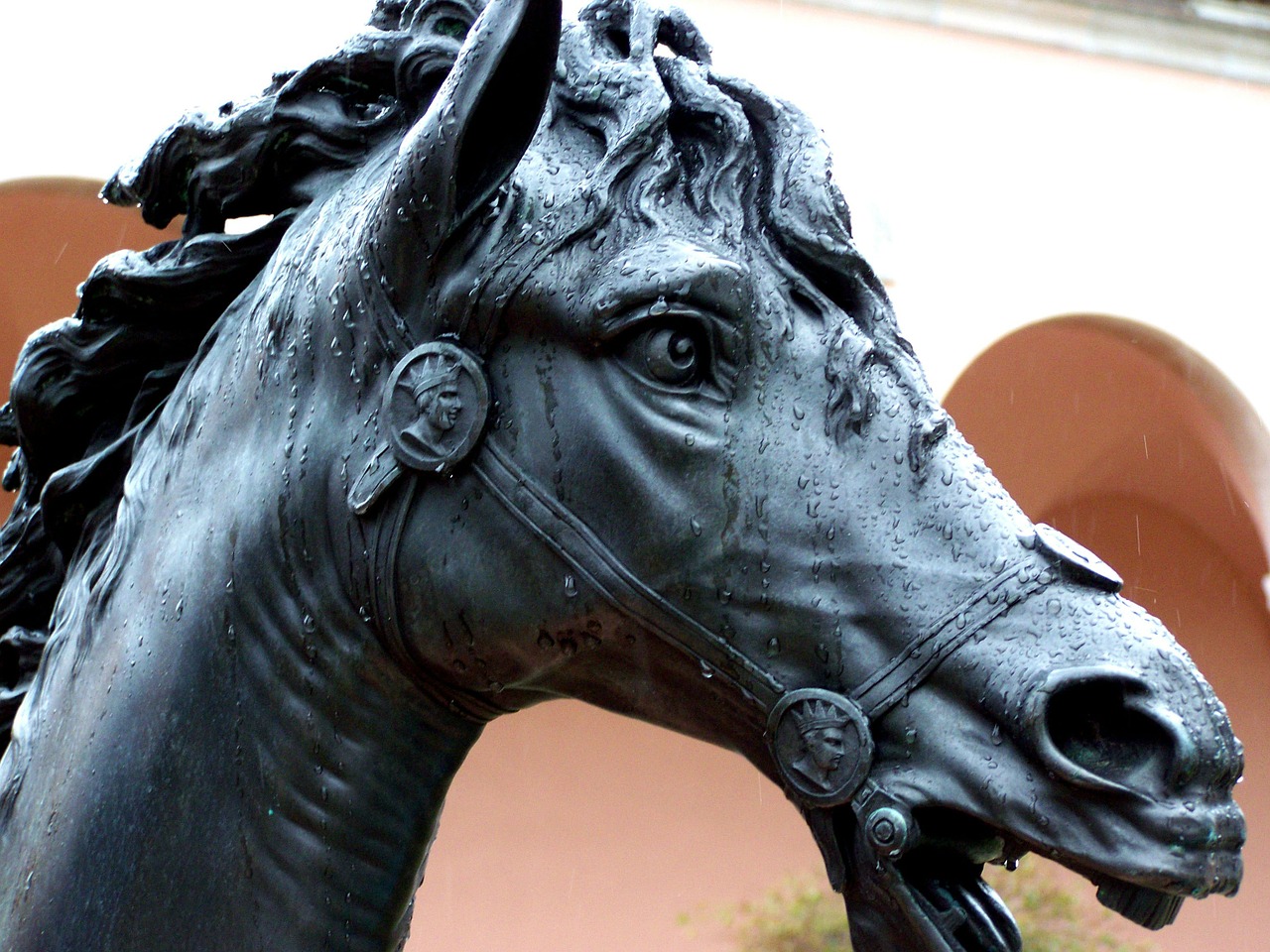 horse rain statue free photo
