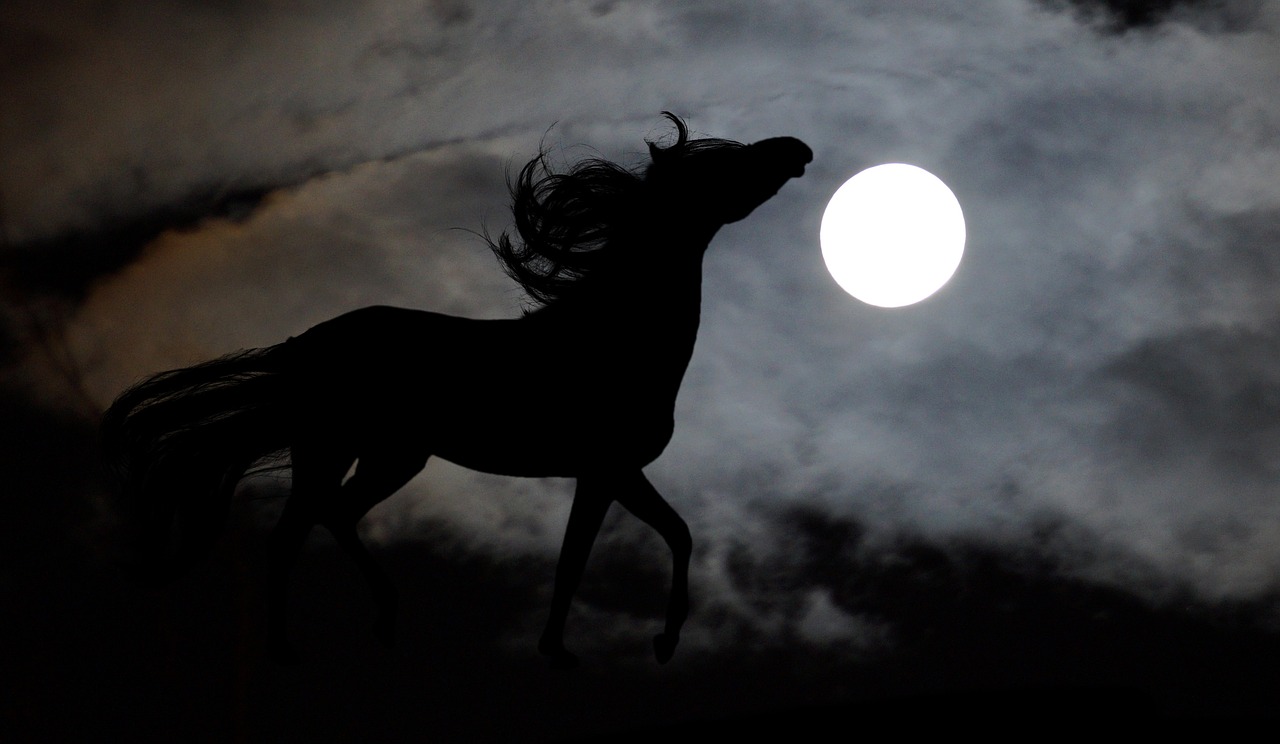 horse arab moon free photo