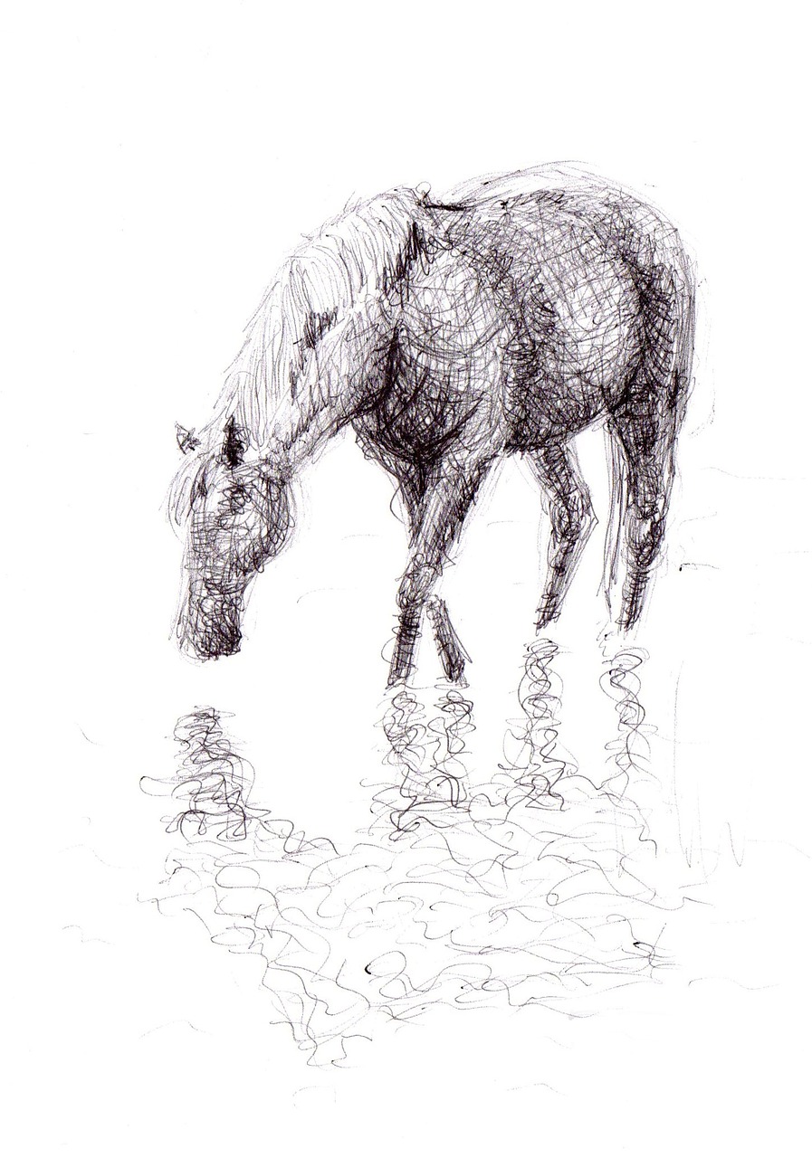 horse drawing pen free photo