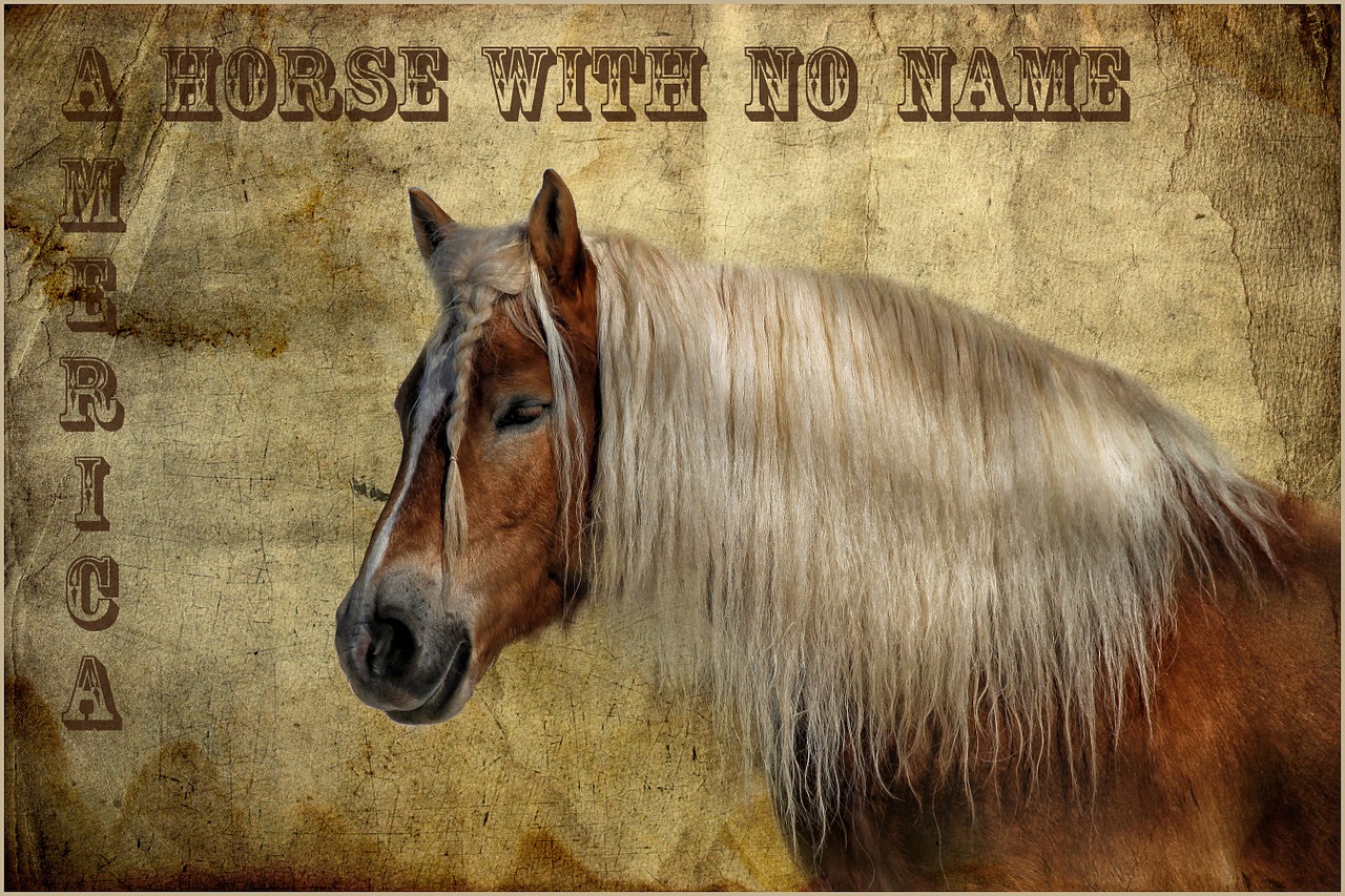 horse texture font free photo