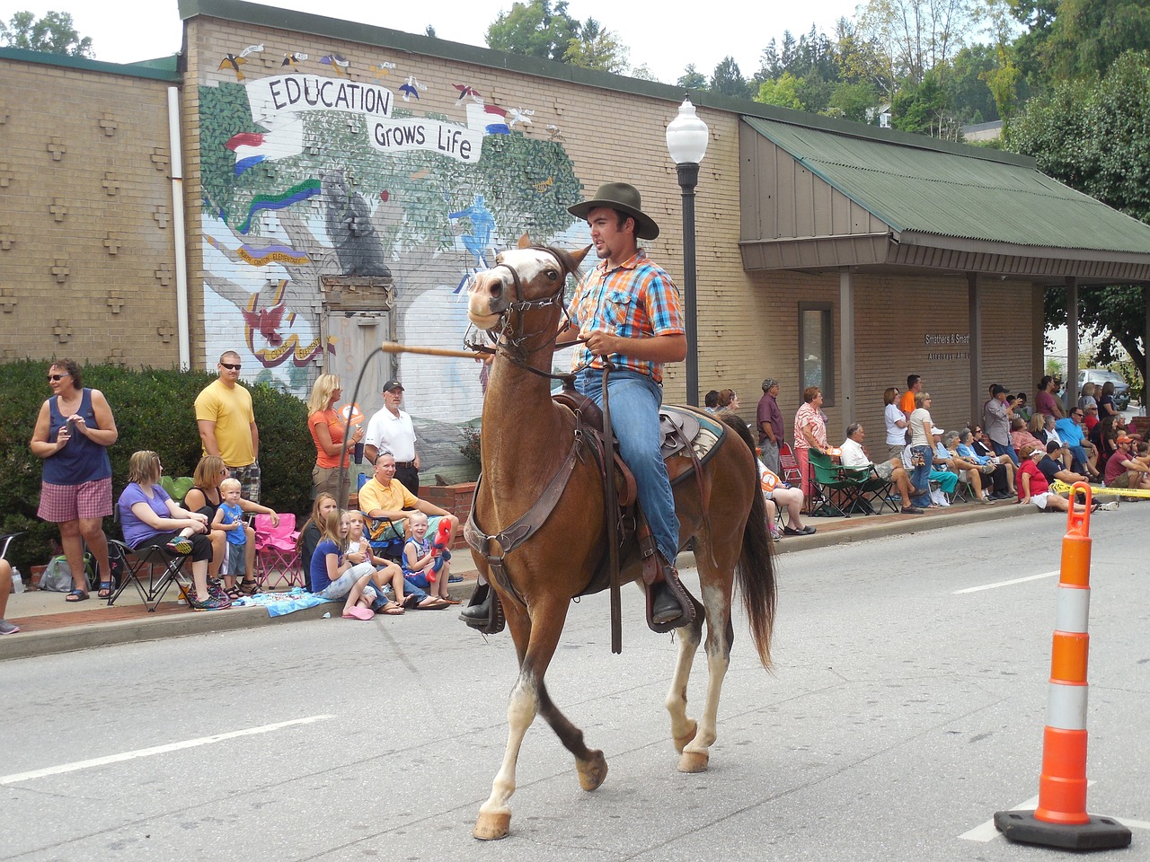 horse parade tradition free photo