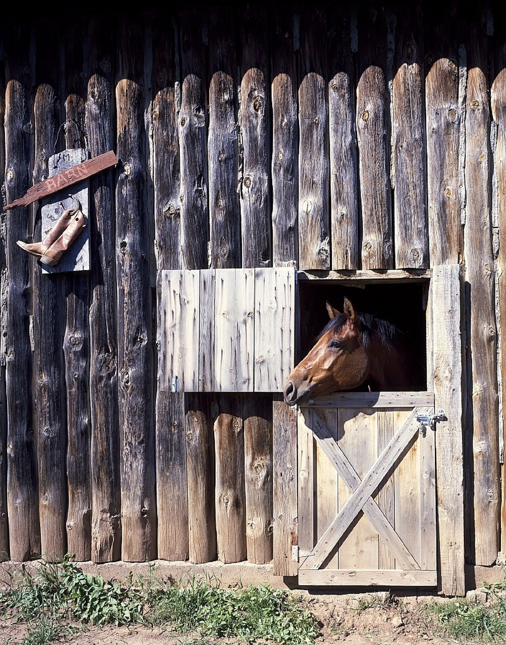horse barn door free photo