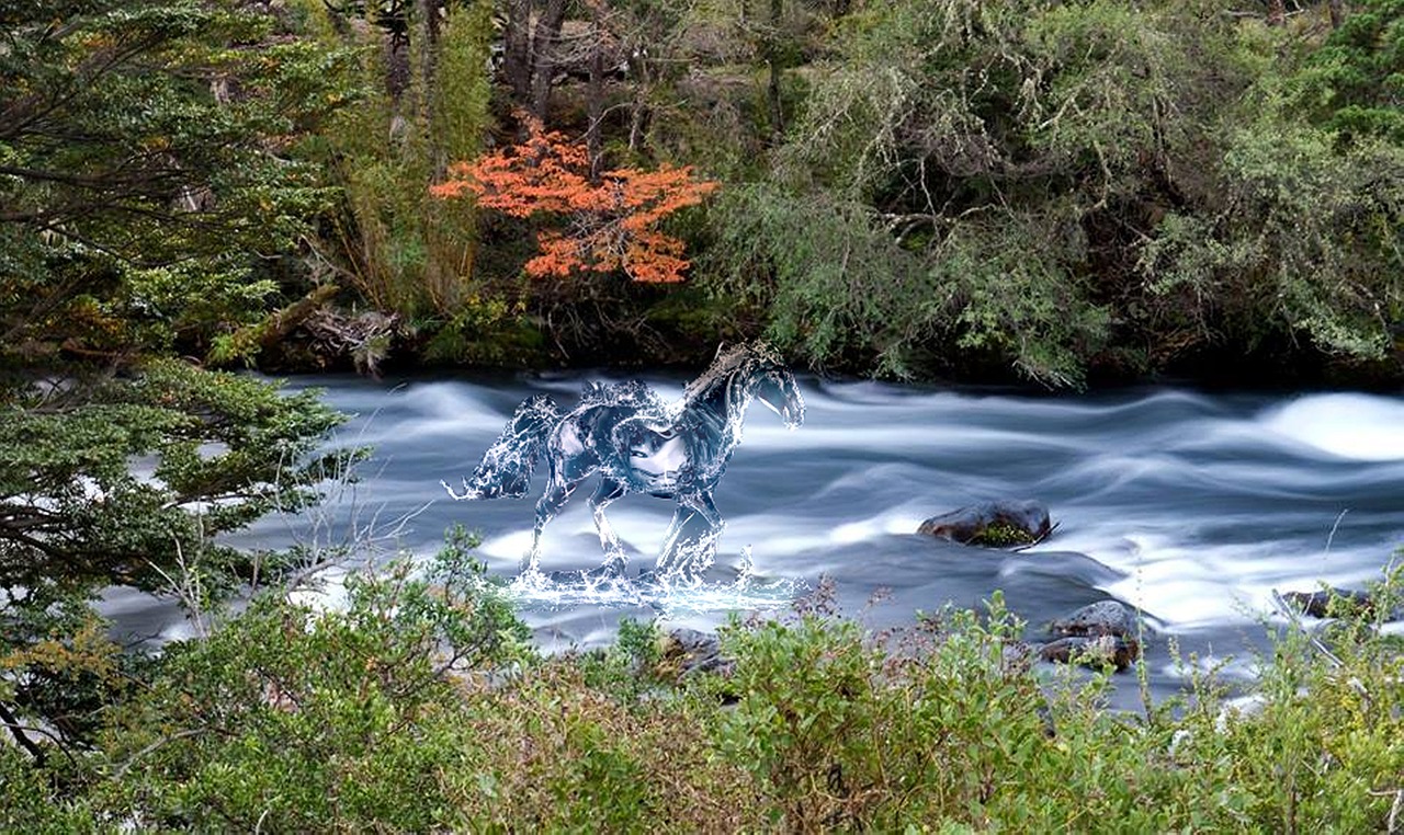 horse water forests free photo
