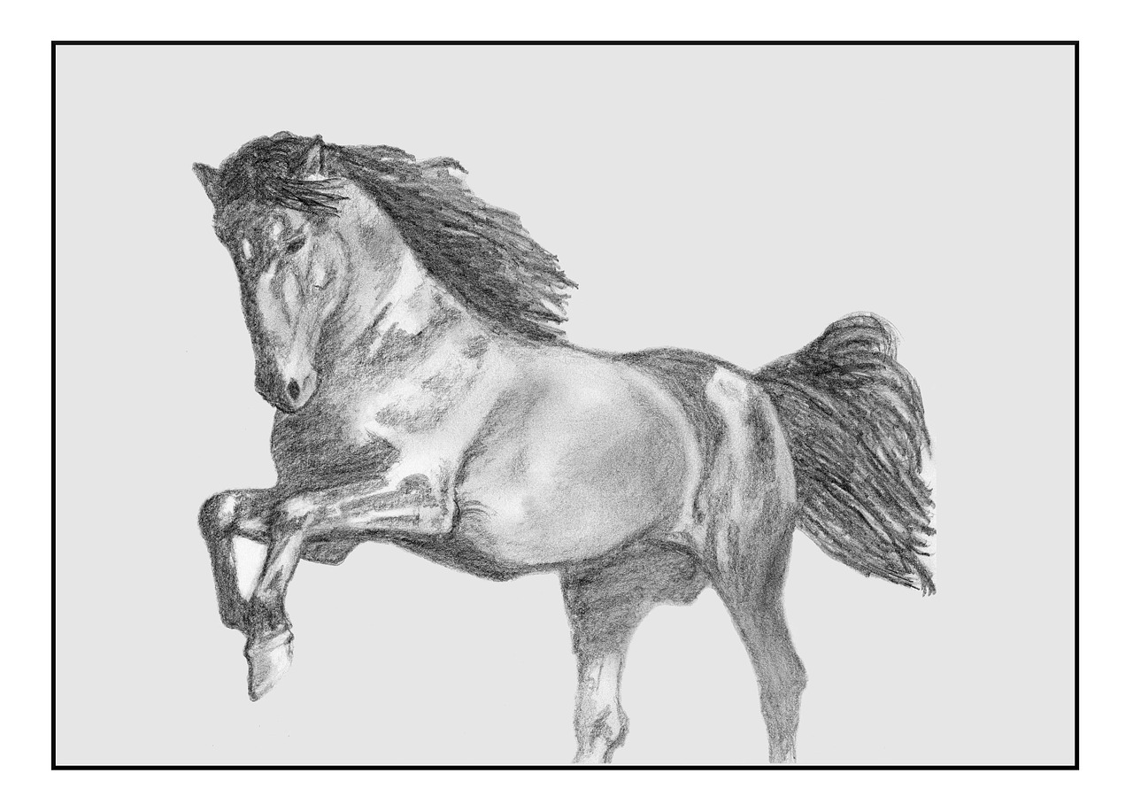 horse pencil drawing free photo