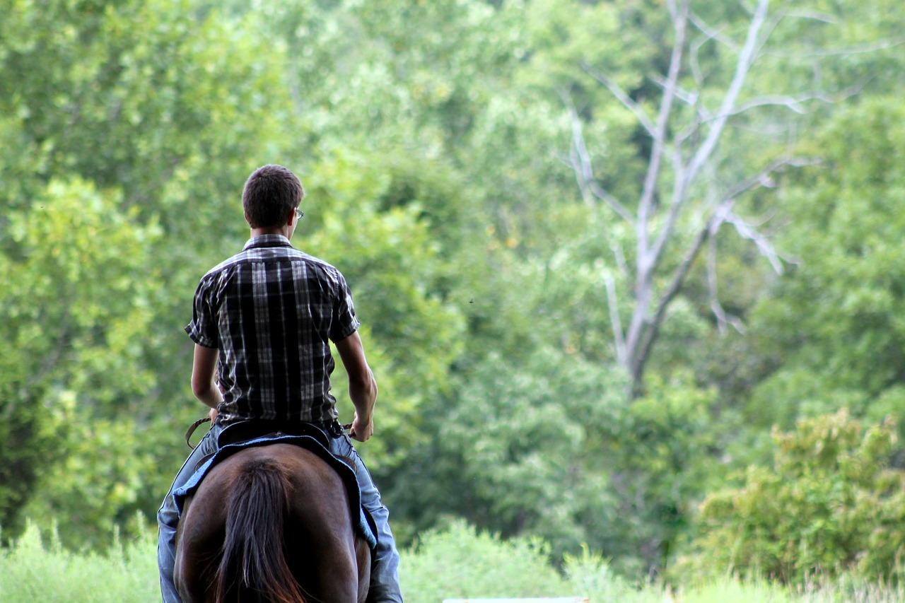 horse cowboy boy free photo