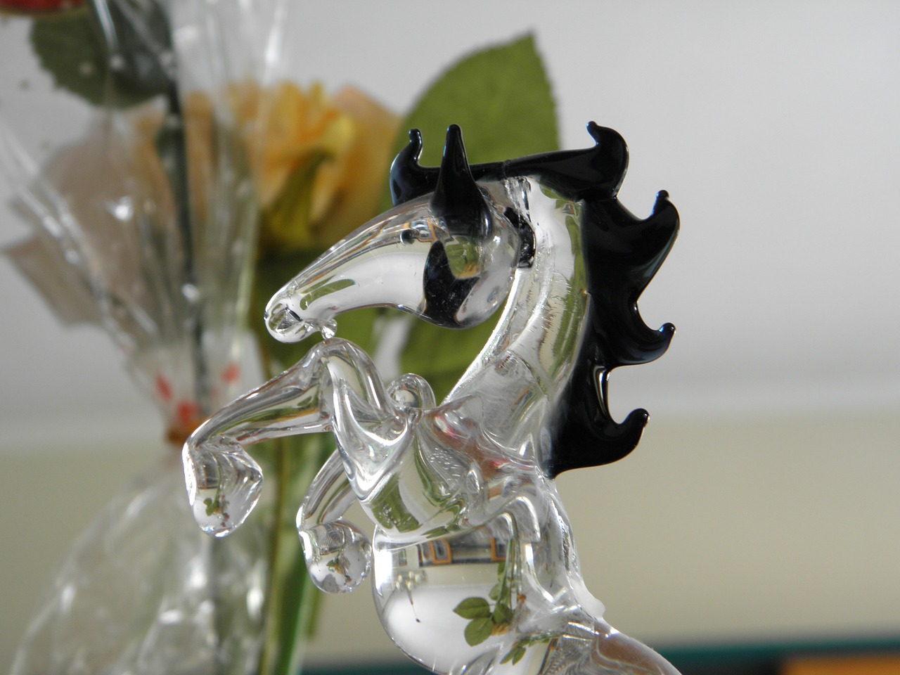 horse glass macro free photo