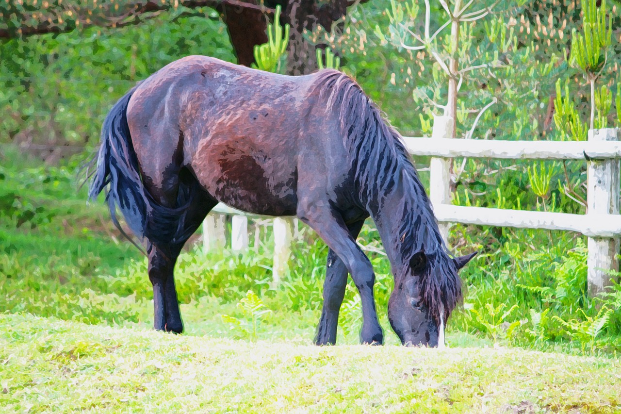 horse pony art free photo