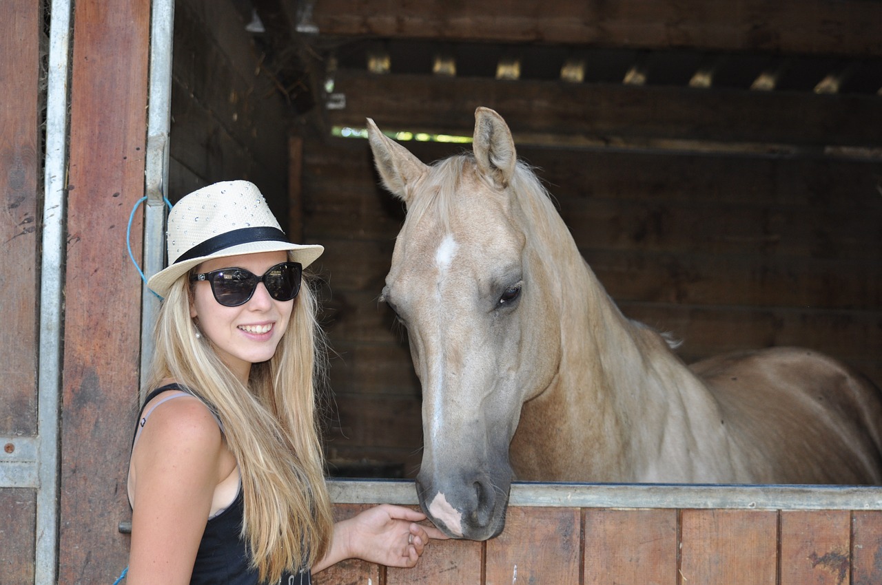 horse equestrian girl free photo