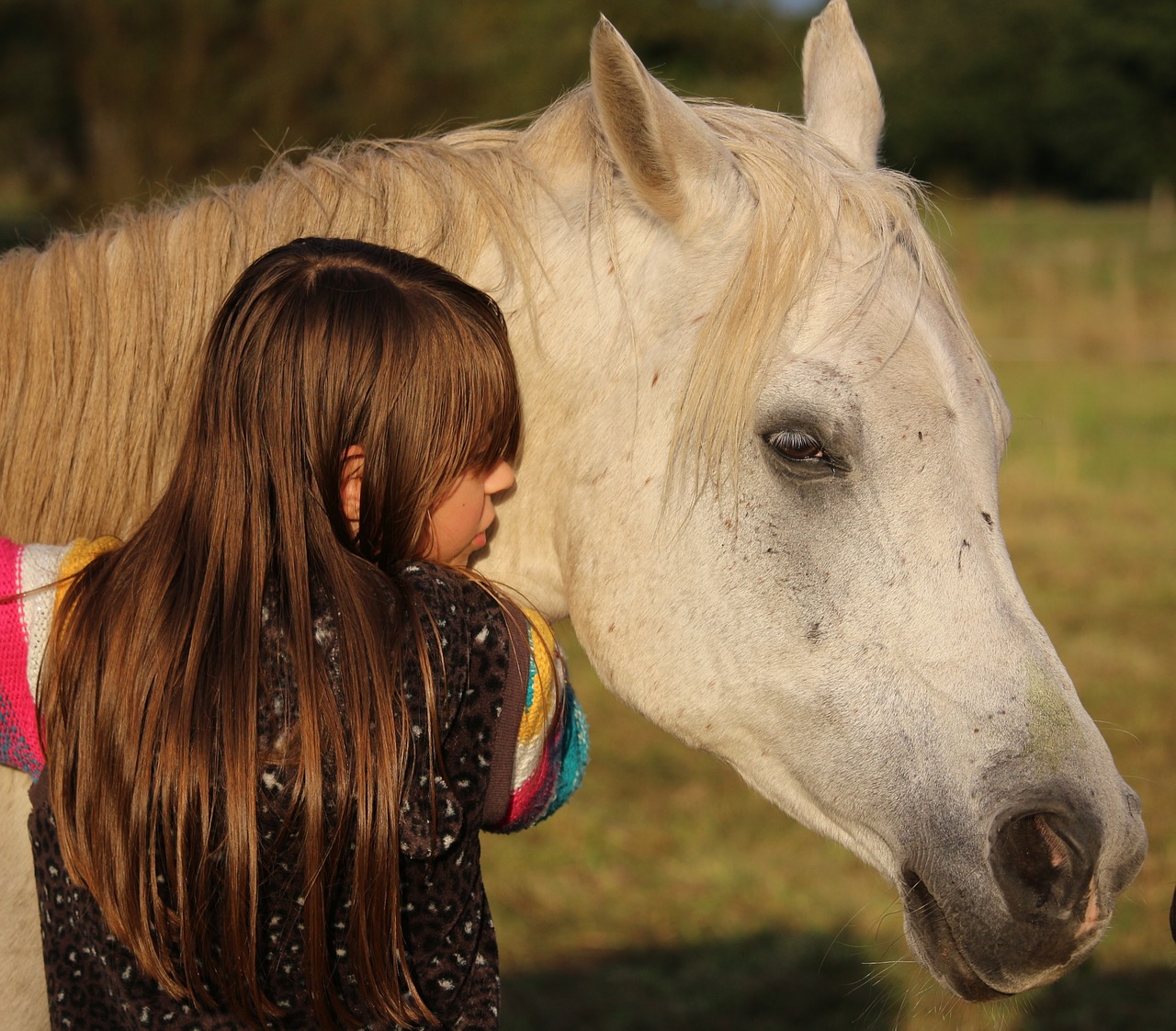 horse girl mold free photo