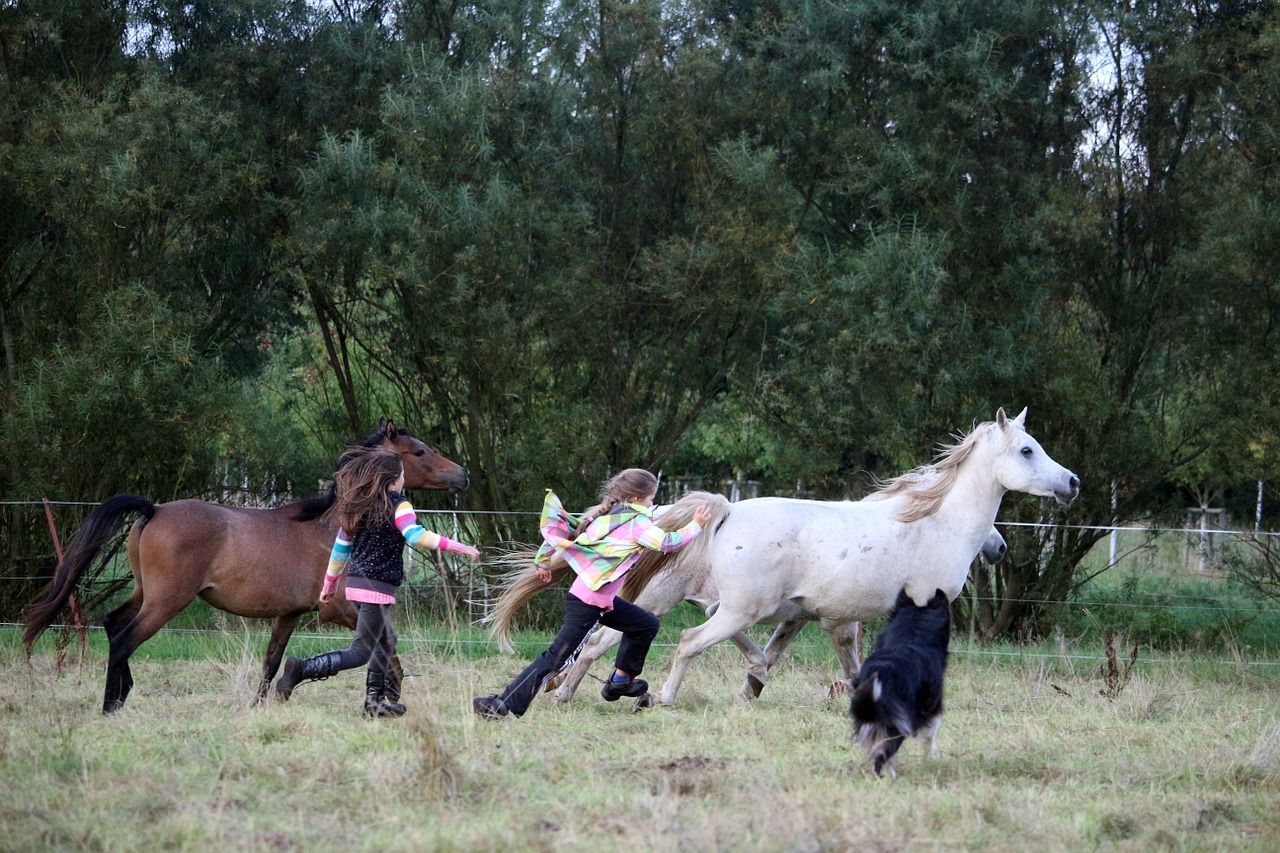 horse girl friendship free photo