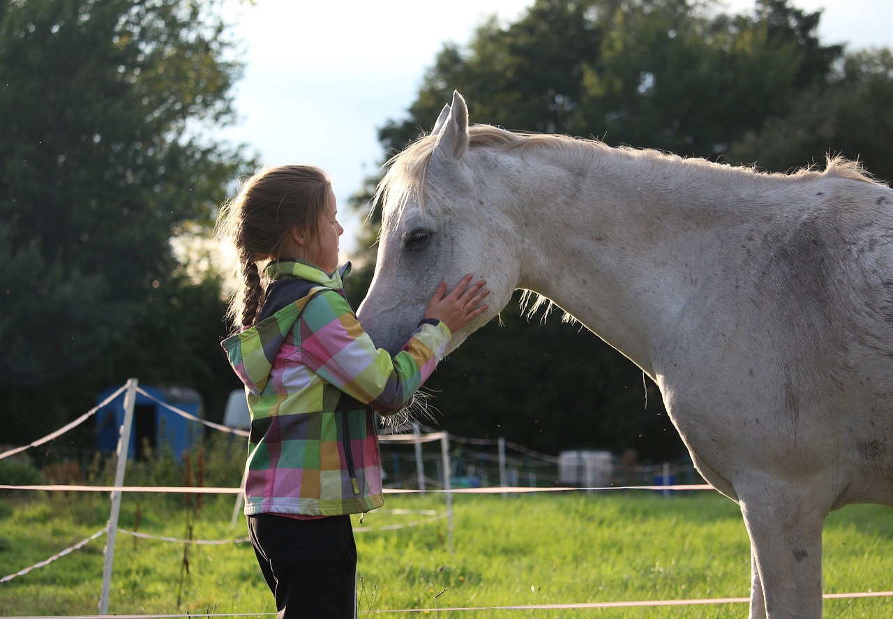 horse girl friendship free photo