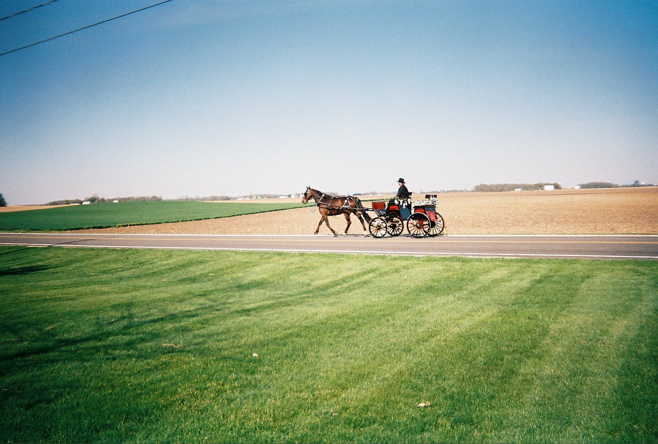 horse carriage countryside free photo