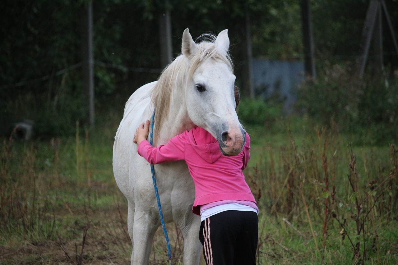 horse girl friendship free photo