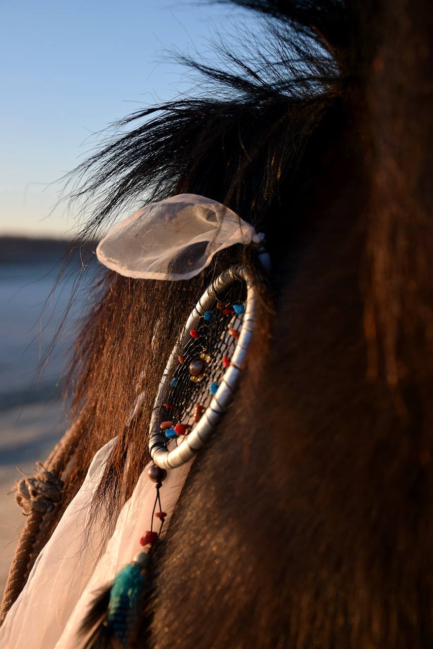 horse accessories dream catcher mane free photo