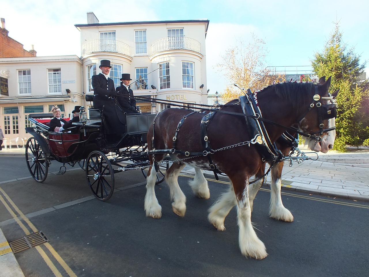 horse and carriage dray carriage free photo