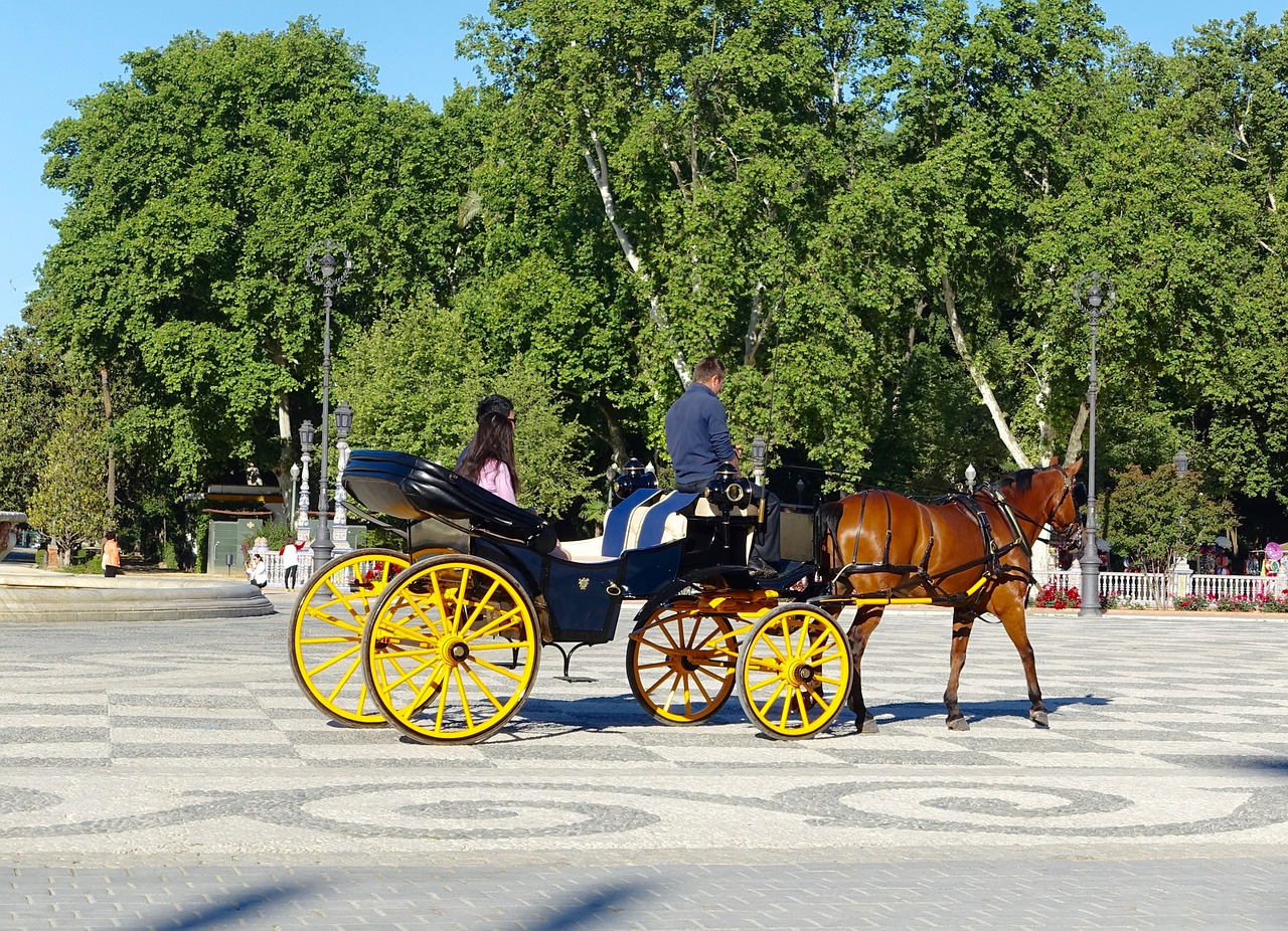 horse and cart carriage traditional free photo