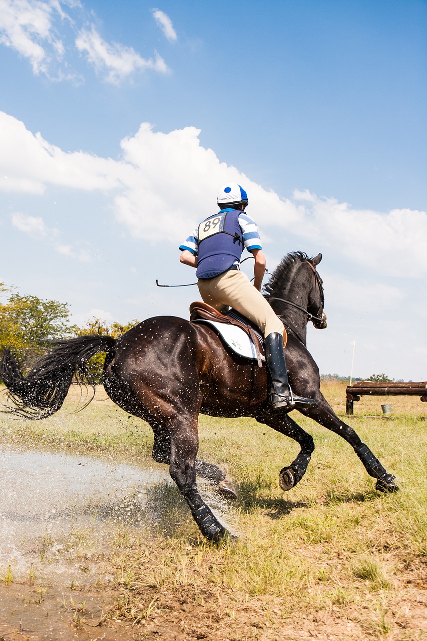 horse and rider cornering at speed water jump eventing free photo