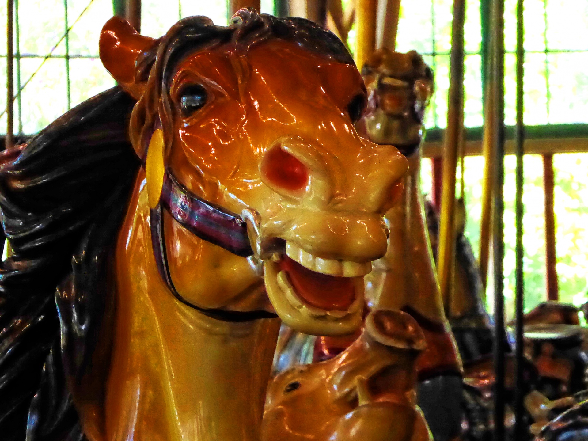 carousel horse ride free photo