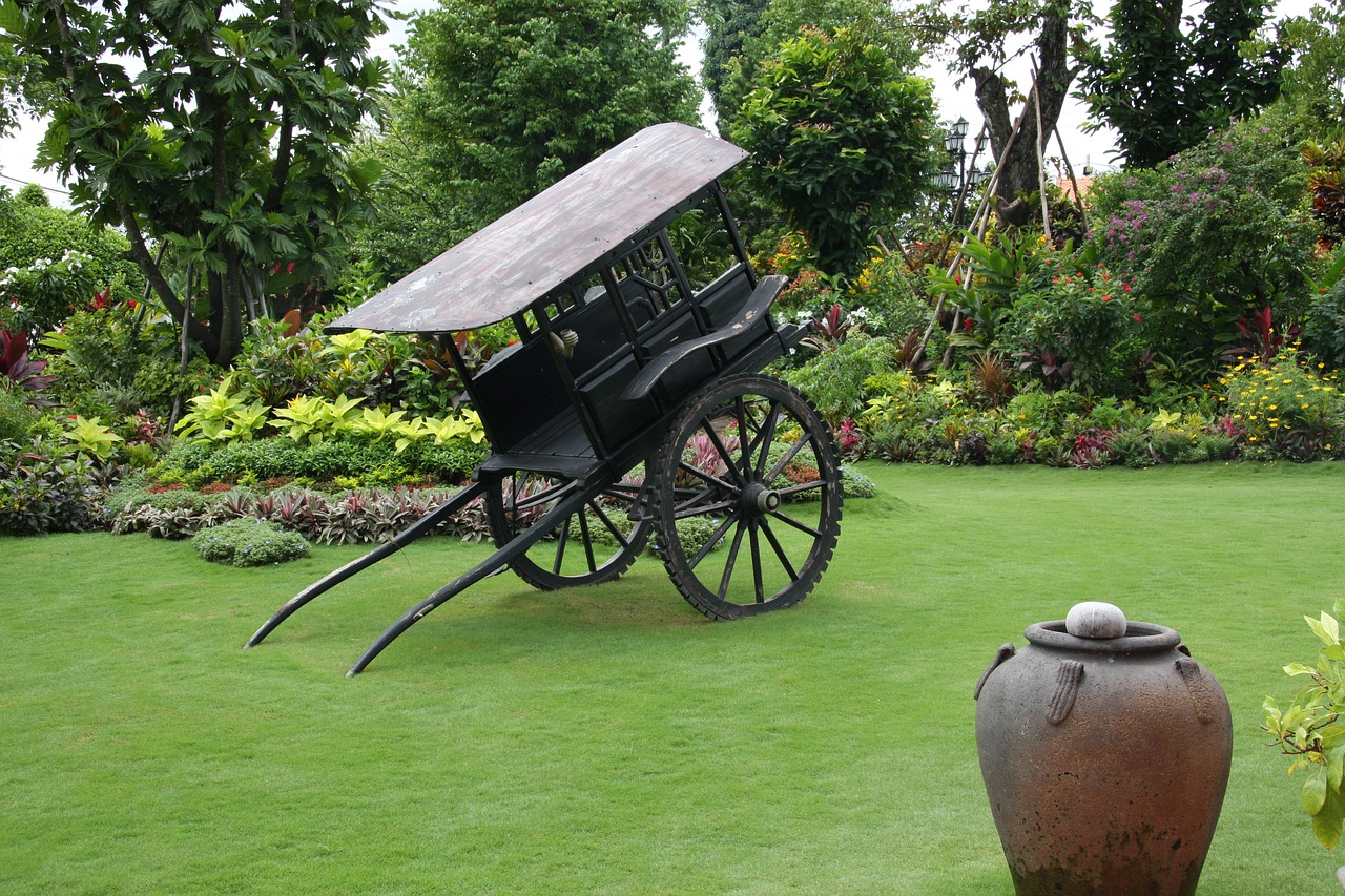 horse carriage green garden rural free photo