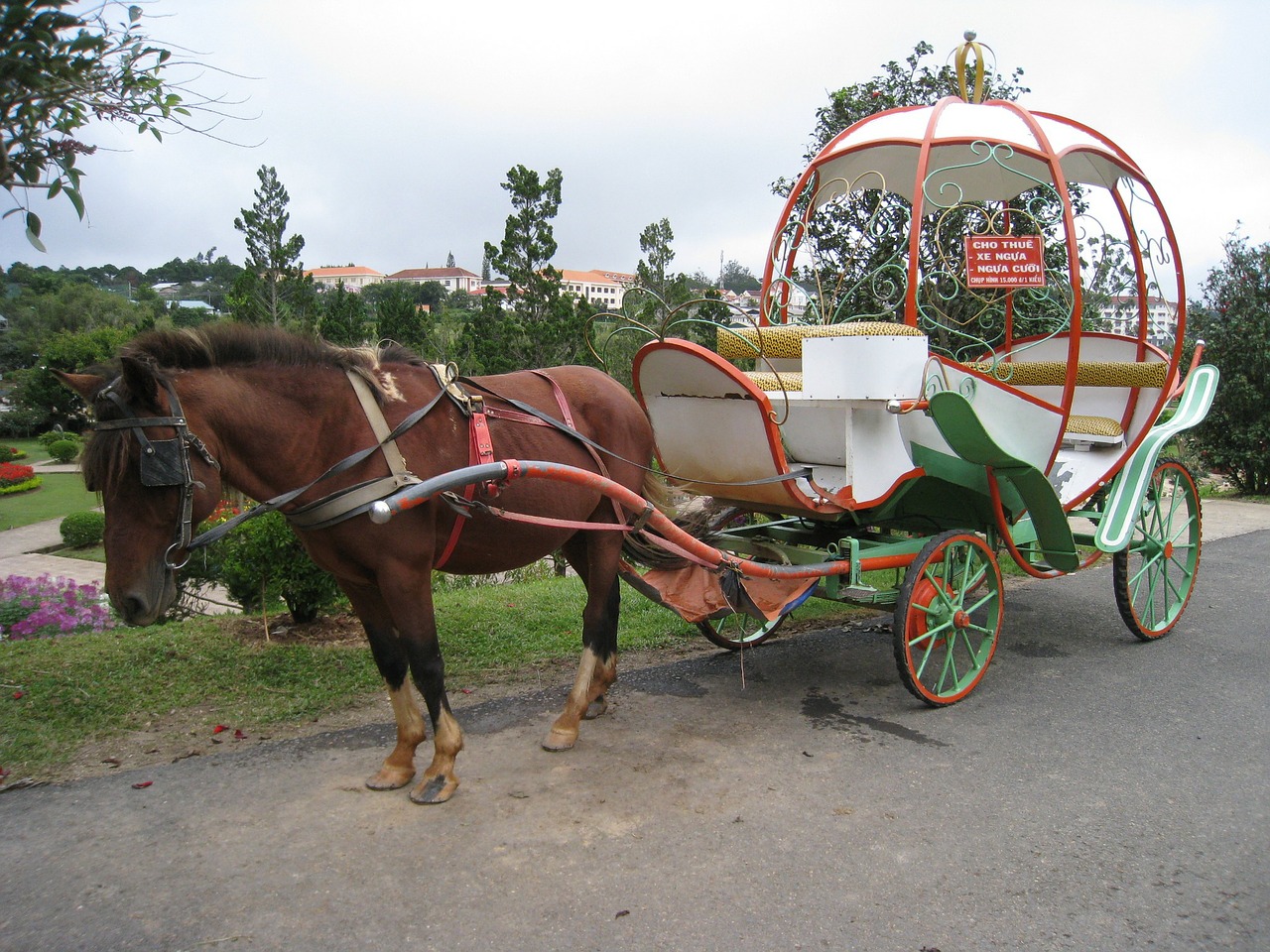 horse carriage horse wagon free photo
