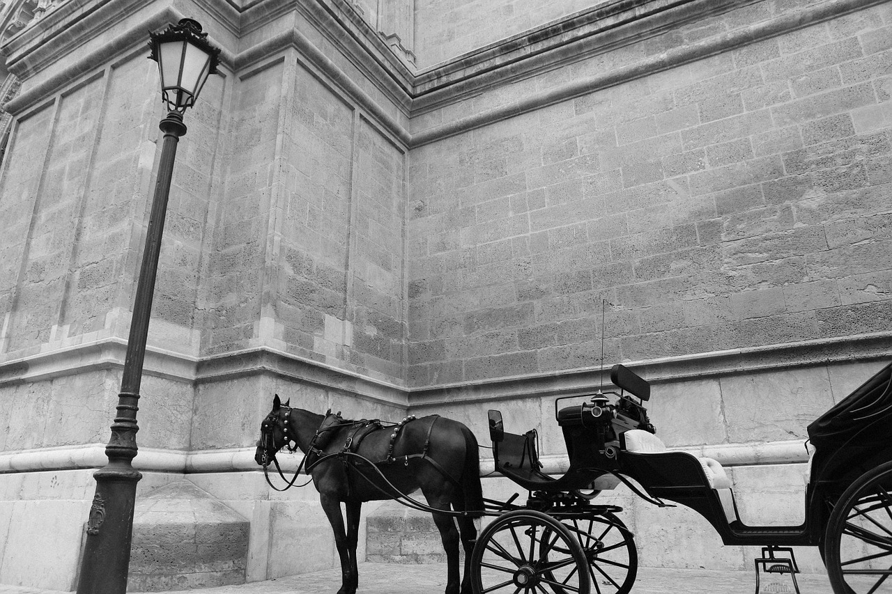 horse carriage carriage horses free photo