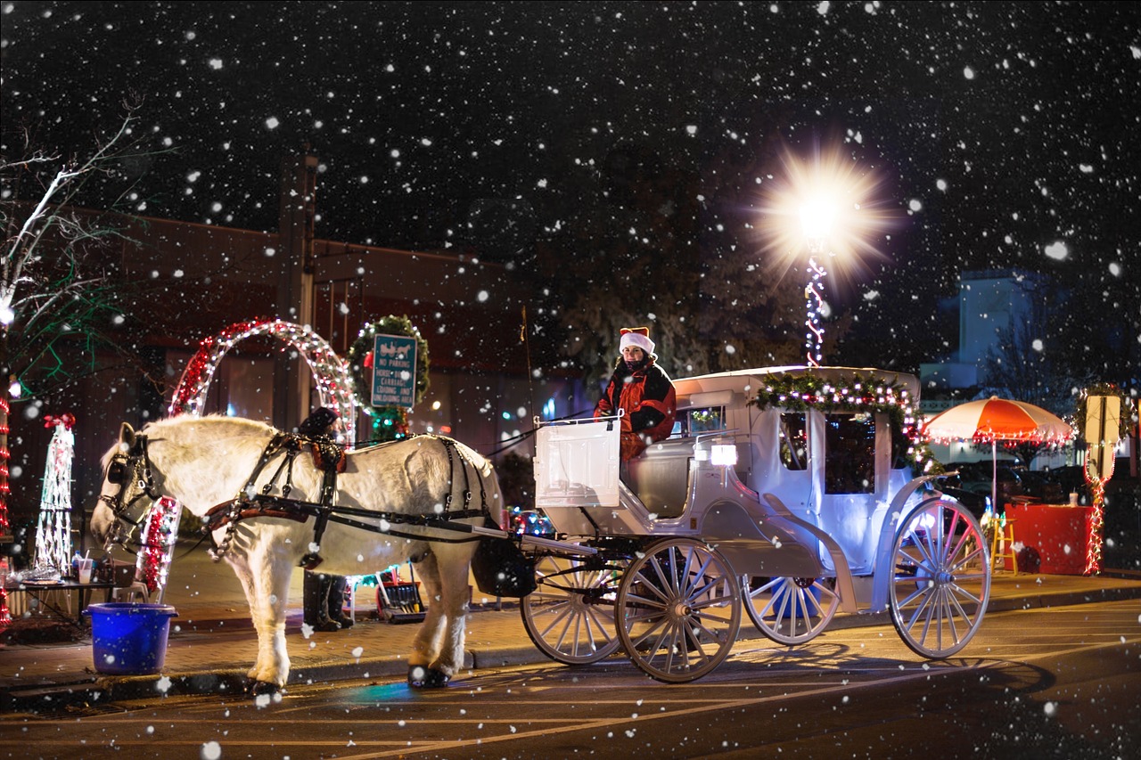 horse carriage wagon christmas free photo