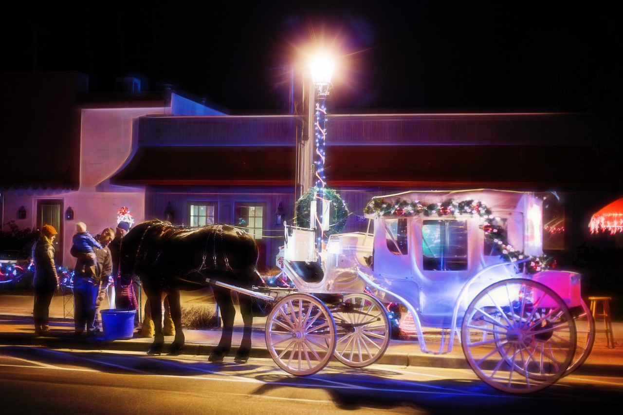 horse carriage christmas horse free photo