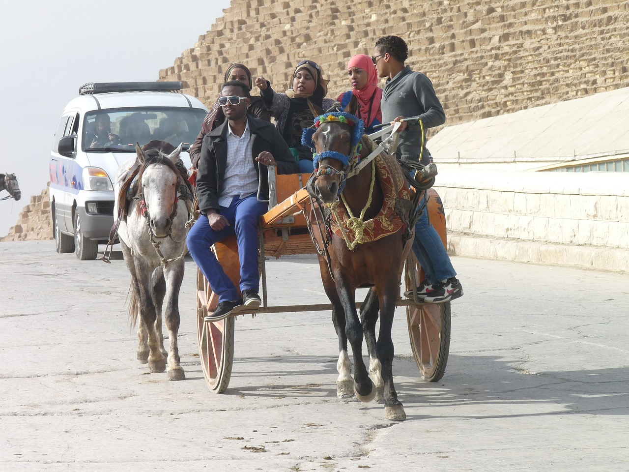 horse cart egypt tourism free photo