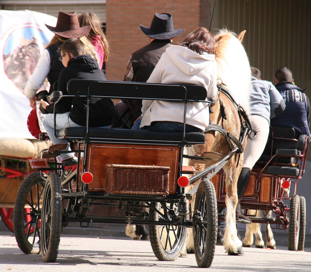 horse-drawn carriage horse party in family free photo