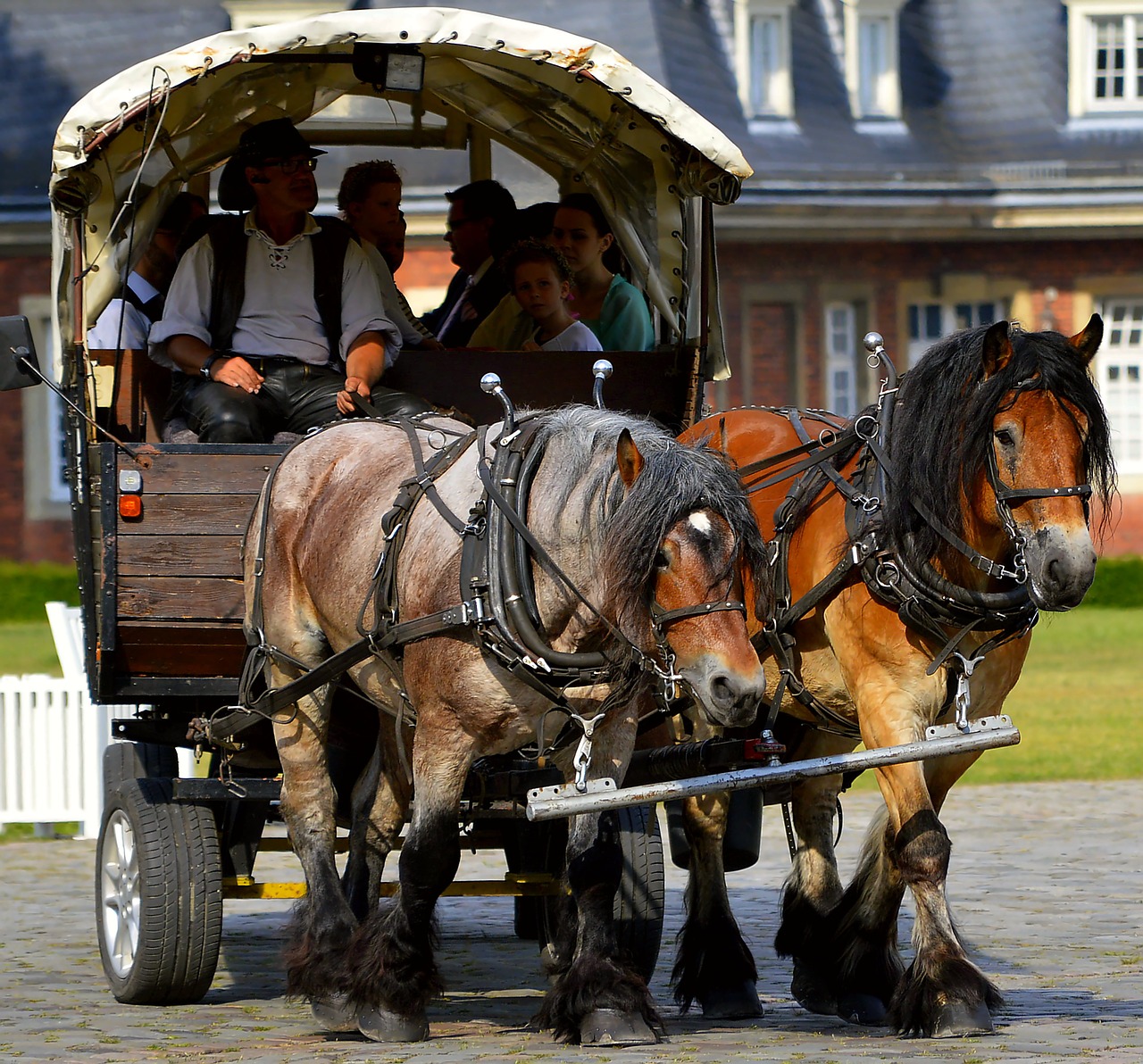 horse drawn carriage drag livestock free photo