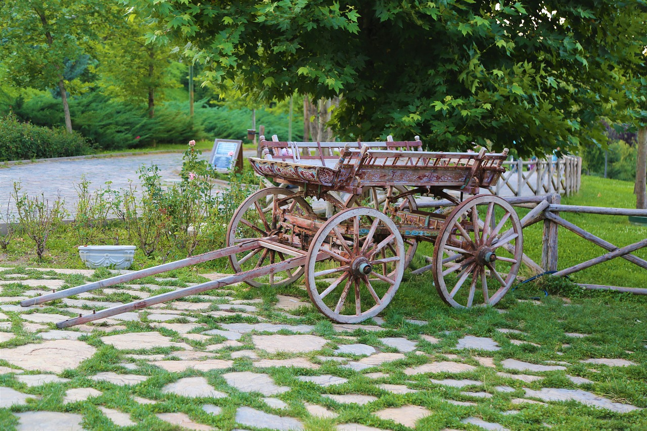 horse-drawn carriage  village  old free photo