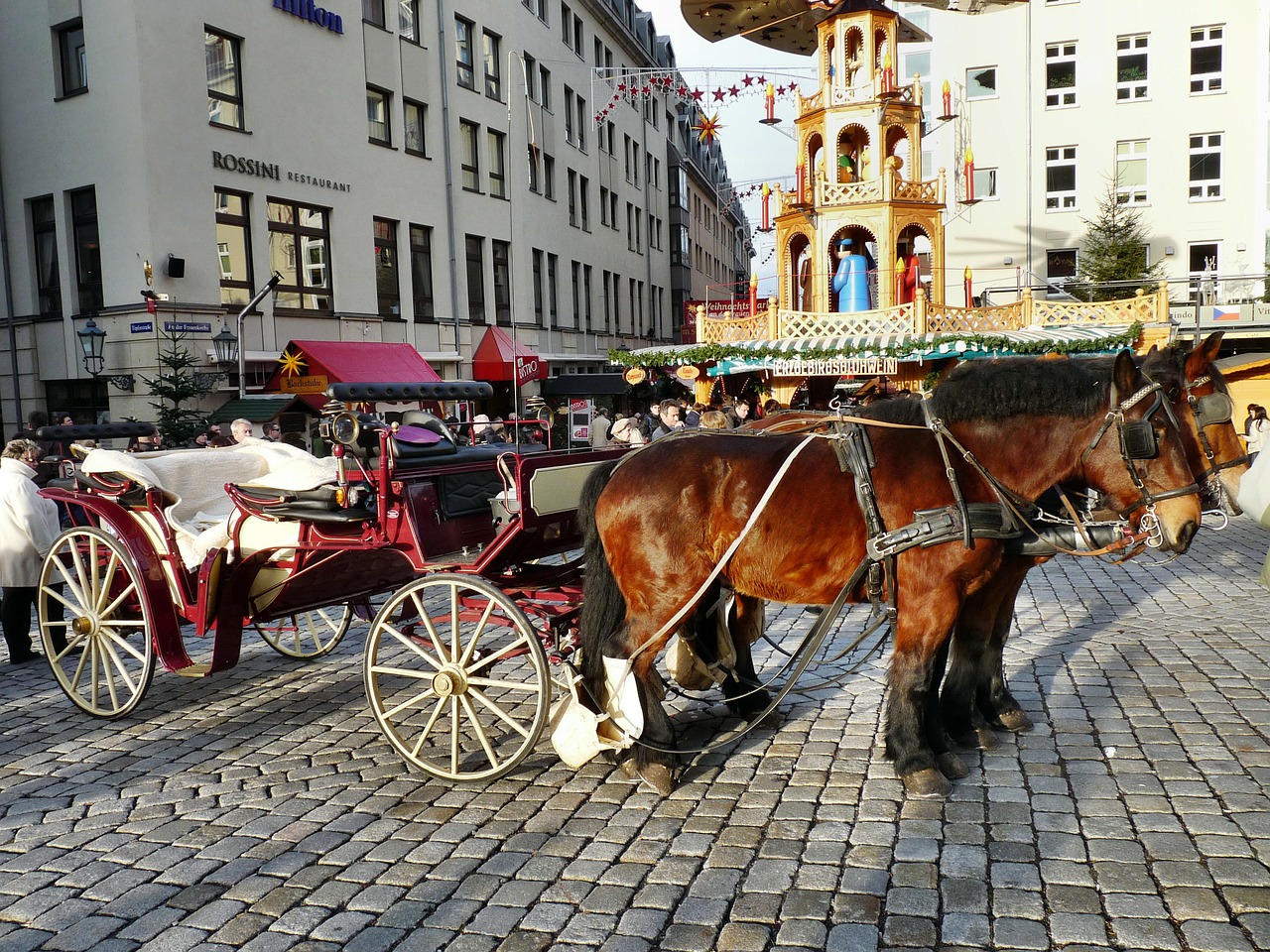 horse drawn carriage carriage rides neumarkt free photo