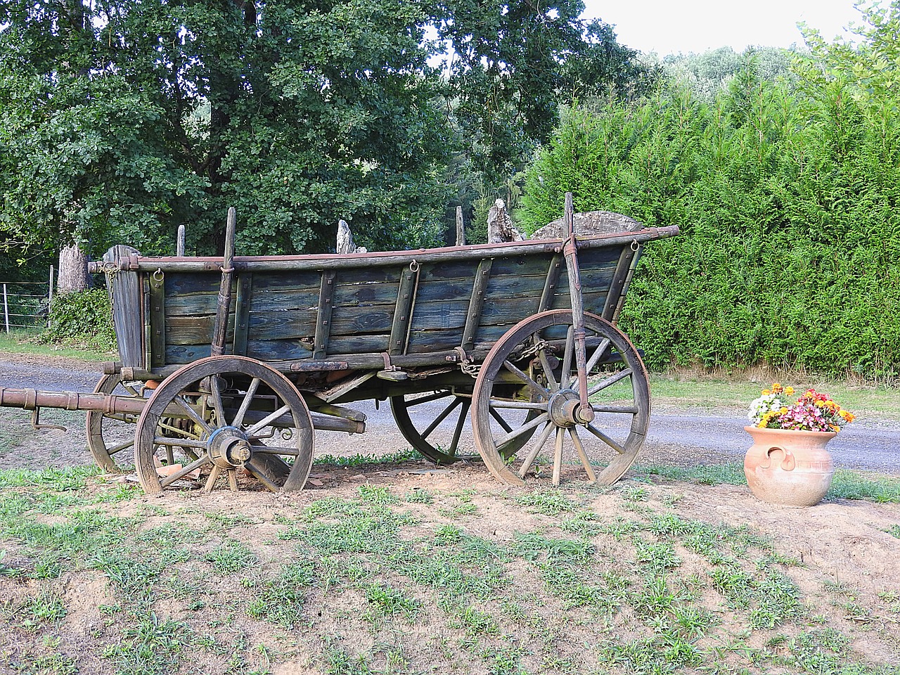 horse drawn carriage old coach free photo