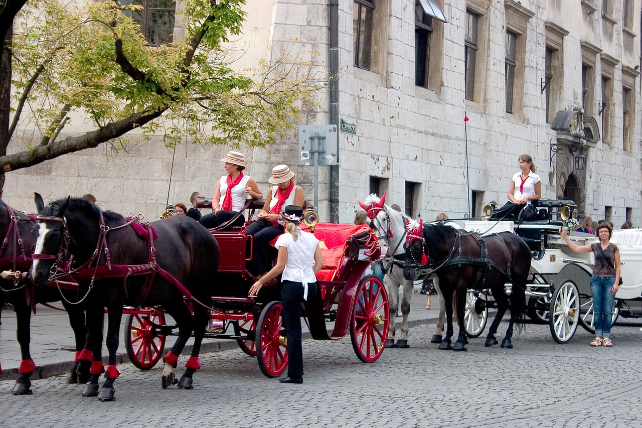 horse-drawn carriages tourists krakow free photo