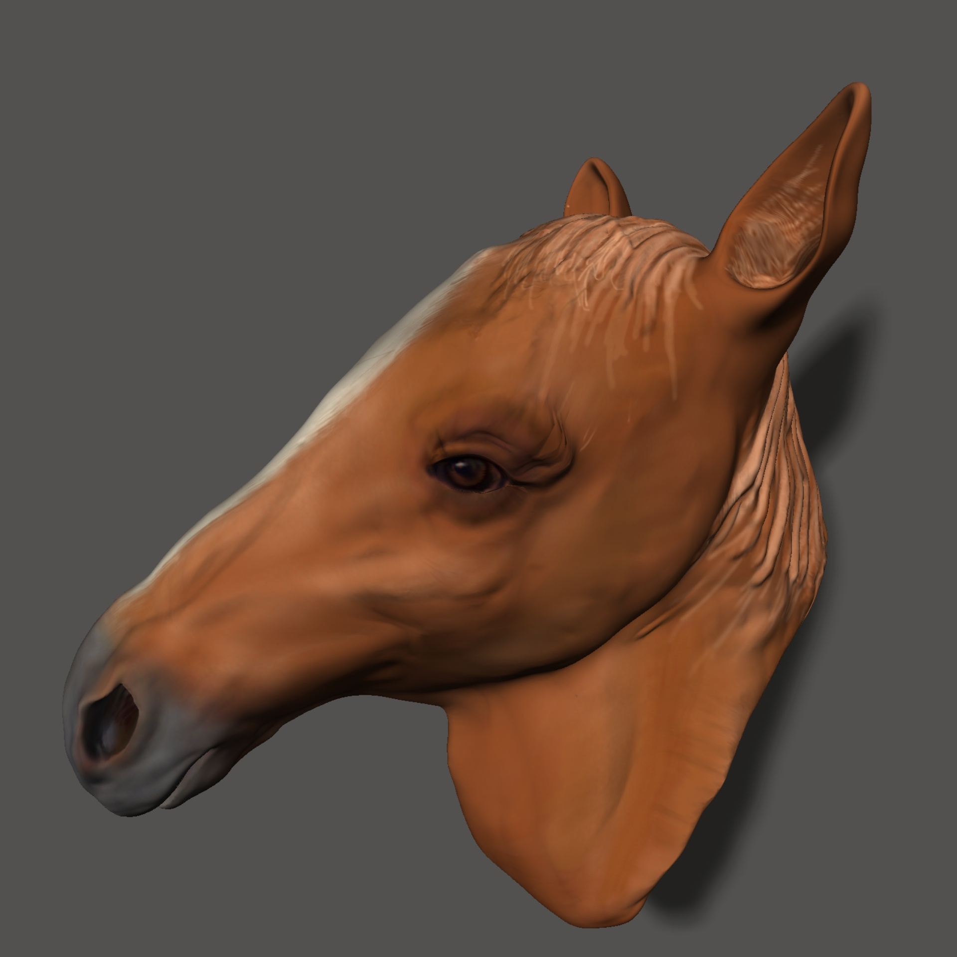 brown 3d horse free photo