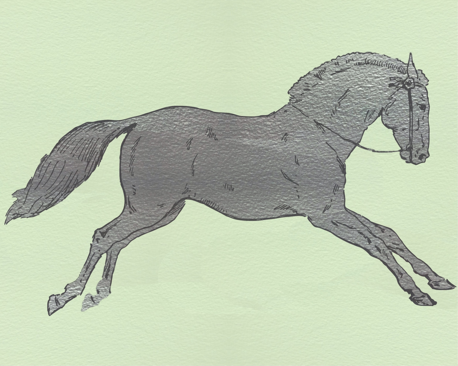 horse illustration vintage free photo