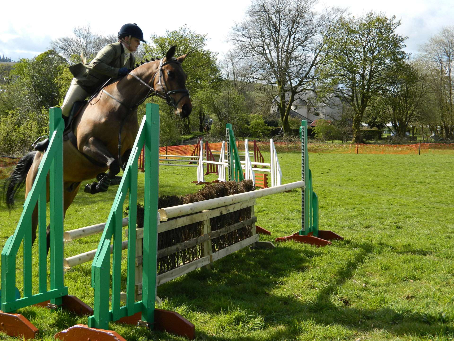 horse rider show free photo