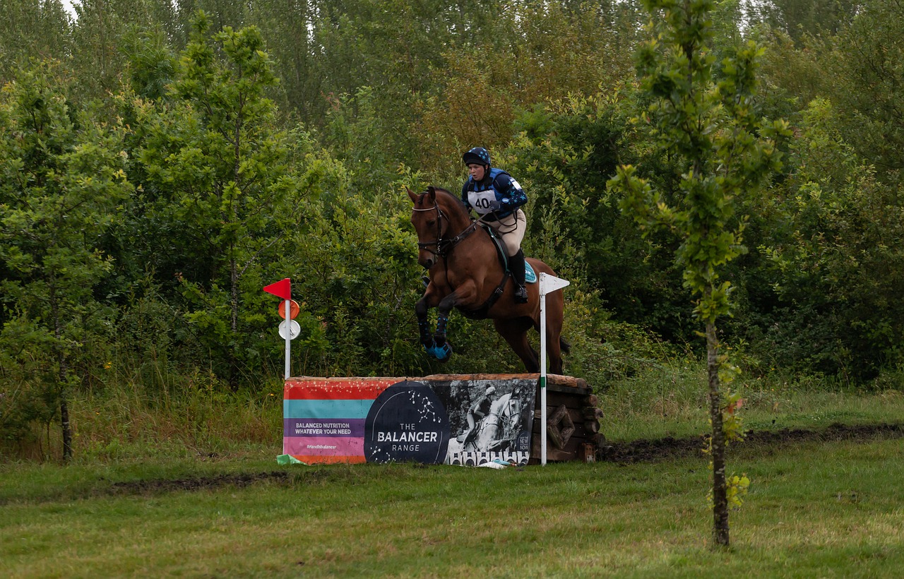 horse jumping  cross country jumping  horse free photo
